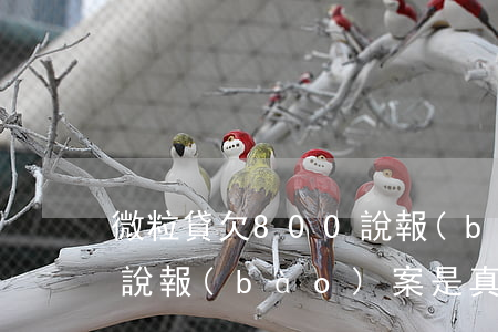 微粒貸欠800說報(bào)案(微粒貸貸說報(bào)案是真的假的)