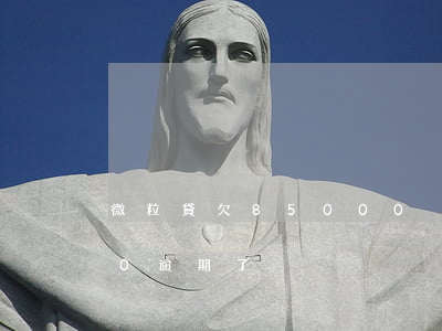 微粒貸欠85000沒還(微粒貸欠款8000逾期了)