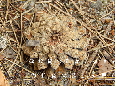 微粒貸欠8萬(wàn)無(wú)力償還(微粒貸欠款19萬(wàn)無(wú)力償還怎么解決)
