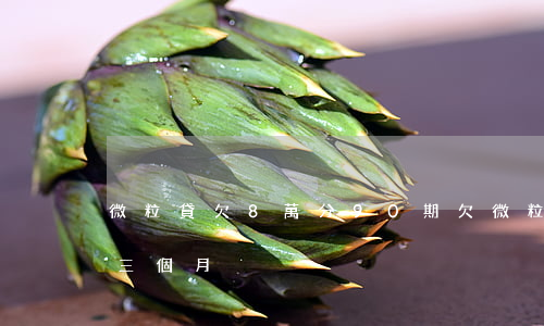 微粒貸欠8萬分90期(欠微粒貸9千多逾期三個月)