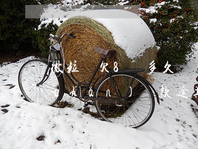 微粒貸欠8萬多久會(huì)拍賣房產(chǎn)(貸款逾期多久會(huì)被拍賣)