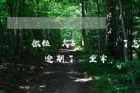 微粒貸欠8萬沒錢還了怎么辦(微粒貸欠款8萬逾期了會坐牢嗎)