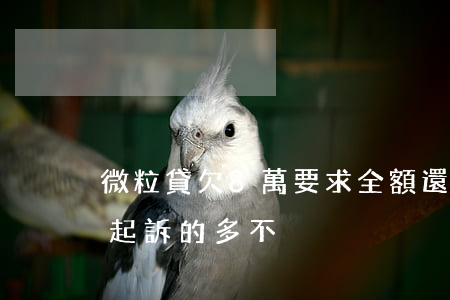 微粒貸欠8萬要求全額還款(微粒貸欠款7萬起訴的多不)