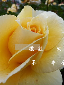微粒貸欠一年如何只還本金(微粒貸只還利息,不還本金)