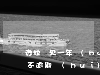 微粒貸欠一年會(huì)上征信嗎(微粒貸不逾期會(huì)上征信呢)