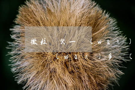 微粒貸欠一萬(wàn)說要起訴(欠微粒貸兩萬(wàn)多會(huì)不會(huì)被起訴)