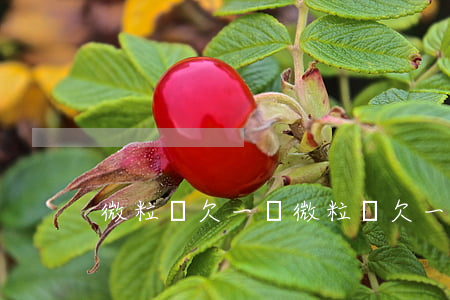 微粒貸欠一萬(微粒貸欠一萬收到律師函)