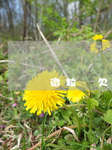 微粒貸欠一萬會被凍結(jié)賬戶嗎