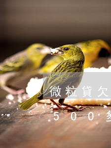 微粒貸欠一萬短信說要上門會來嗎(微粒貸欠500多要上門)
