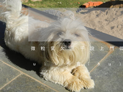 微粒貸欠三千說上門(微粒貸欠三萬八會(huì)不會(huì)上門)