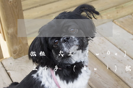 微粒貸欠三萬(wàn)被起訴(微粒貸逾期三千多會(huì)被起訴)