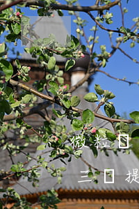 微粒貸欠三萬提前還兩萬還欠多少(微粒貸有三筆提前還完一筆)