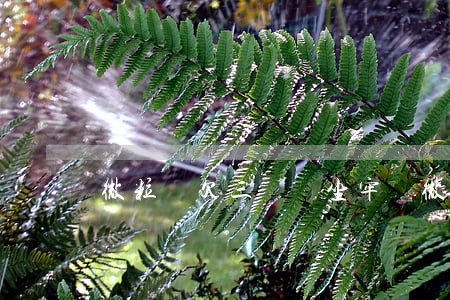 微粒貸欠三萬會坐牢嗎(微粒貸欠款會坐牢嗎?)