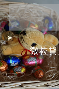微粒貸欠了10萬怎么辦(微粒貸逾期10萬)