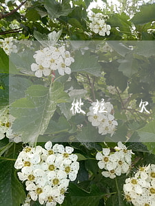 微粒貸欠了120天(微粒貸欠了120天)