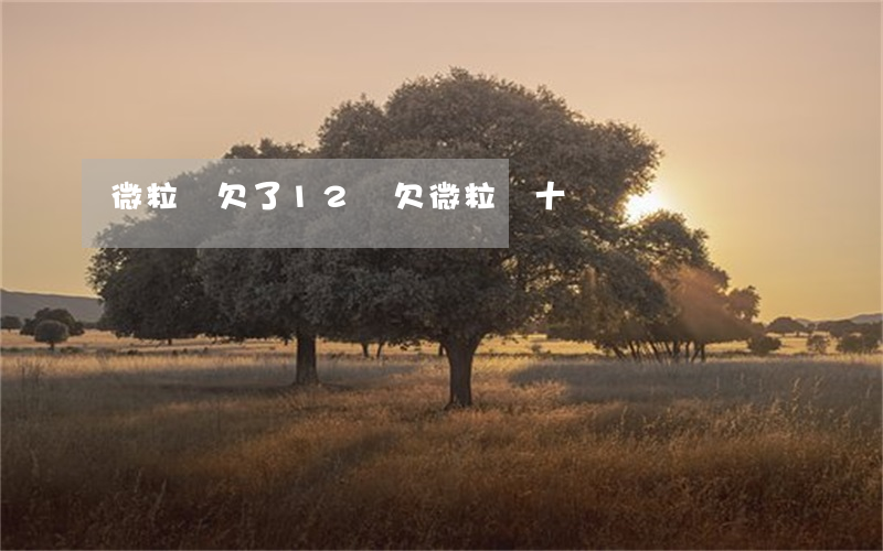 微粒貸欠了12萬(欠微粒貸十萬)