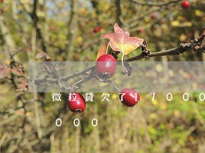 微粒貸欠了17000怎么還呀(微粒貸欠2000)