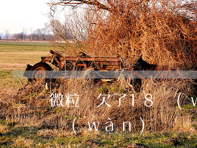 微粒貸欠了18萬(wàn)(微粒貸欠11萬(wàn))