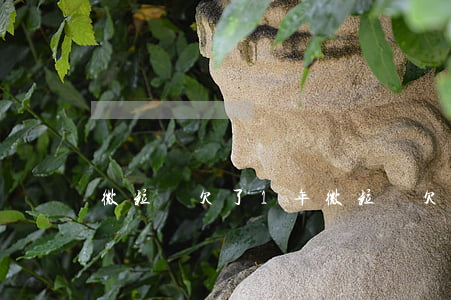 微粒貸欠了1年(微粒貸欠兩千沒還)