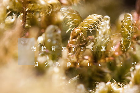 微粒貸欠了20萬會(huì)坐牢嗎(微粒貸欠款會(huì)坐牢嗎?)