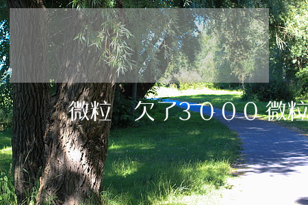 微粒貸欠了3000(微粒貸欠了四年)