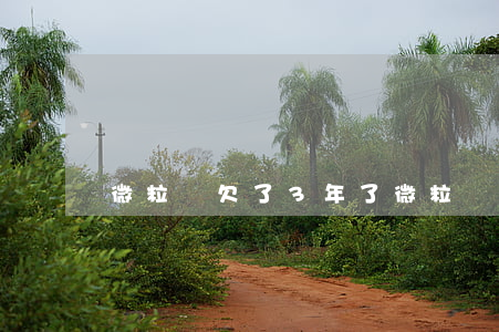 微粒貸欠了3年了(微粒貸欠兩千沒還)