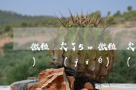 微粒貸欠了5w(微粒貸欠了真的會(huì)凍結(jié)財(cái)產(chǎn)嗎)