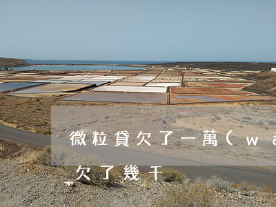 微粒貸欠了一萬(wàn)多怎么辦(微粒貸欠了幾千)