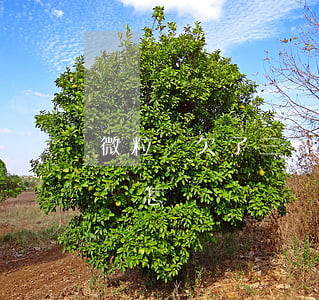 微粒貸欠了三萬沒錢還(微粒貸借三千還不上會怎樣)