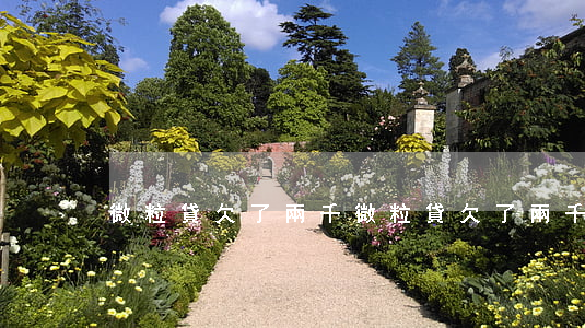 微粒貸欠了兩千(微粒貸欠了兩千)