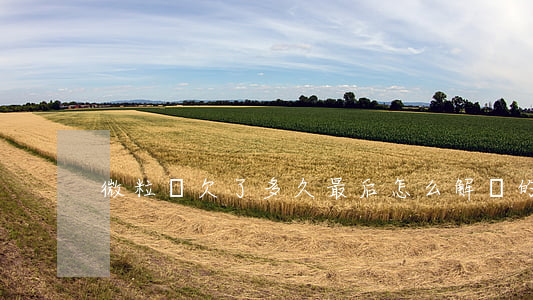 微粒貸欠了多久最后怎么解決的-