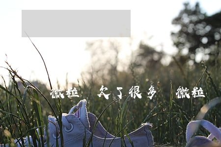 微粒貸欠了很多錢(微粒貸欠了幾千)