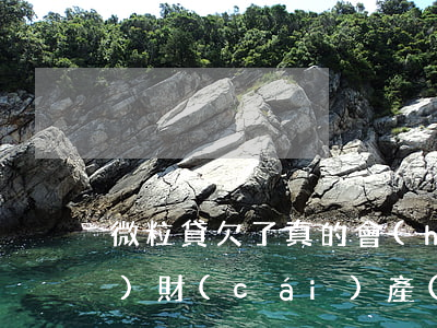 微粒貸欠了真的會(huì)凍結(jié)財(cái)產(chǎn)嗎(欠了微粒貸是不是會(huì)凍結(jié)微信)