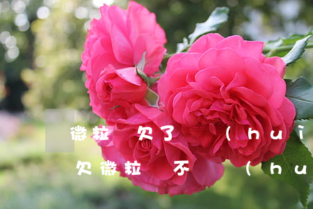 微粒貸欠了錢會(huì)在微信零錢扣嗎(欠微粒貸不還會(huì)直接扣除微信里的錢嗎?)