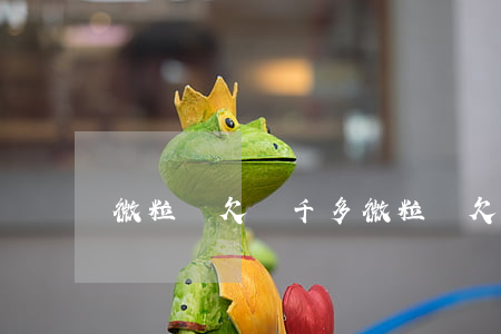 微粒貸欠兩千多(微粒貸欠600多至于嗎)