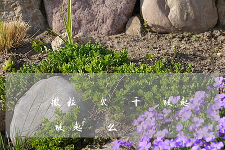 微粒貸欠兩千會被起訴嗎(微粒貸欠一萬多會被起訴么)