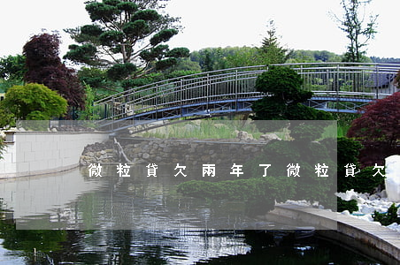 微粒貸欠兩年了(微粒貸欠兩年了)