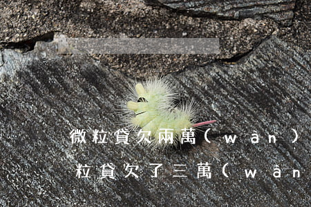微粒貸欠兩萬(wàn)三千多逾期三年(微粒貸欠了三萬(wàn)多逾期了咋辦)
