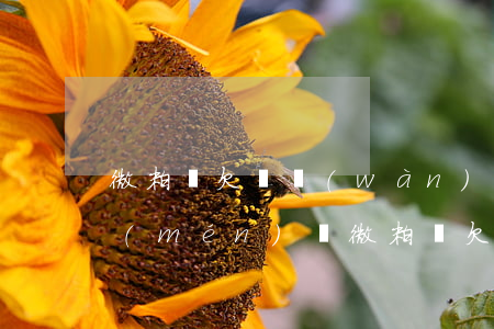 微粒貸欠兩萬(wàn)會(huì)上門(mén)嗎(微粒貸欠款一千多會(huì)上門(mén)嗎)
