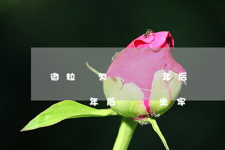 微粒貸欠兩萬幾年后還會坐牢嗎(微粒貸欠兩萬幾年后還會坐牢嗎)