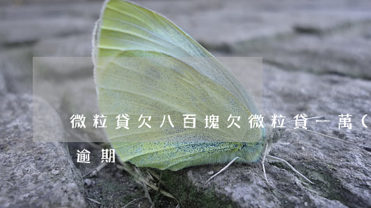 微粒貸欠八百塊(欠微粒貸一萬(wàn)八逾期)