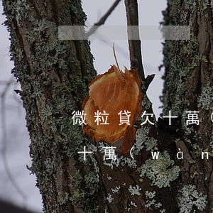 微粒貸欠十萬(wàn)一年以上(欠微粒貸十萬(wàn)還不上會(huì)坐牢不)