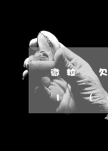 微粒貸欠十萬(wàn)怎么辦(微粒貸欠11萬(wàn))
