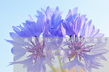 微粒貸欠十萬一天利息(微粒貸借十萬每個(gè)月還多少)