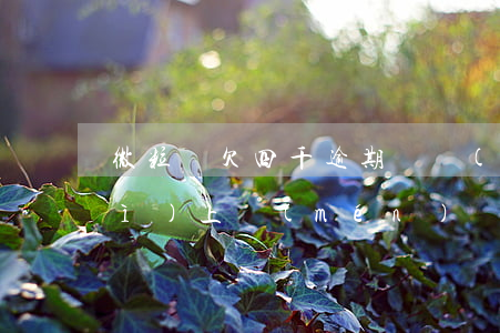 微粒貸欠四千逾期兩個(gè)月會(huì)上門(mén)嗎-微粒貸欠了24000逾期四個(gè)月了沒(méi)錢(qián)還怎么辦