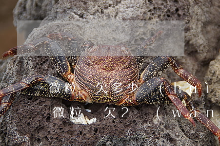 微粒貸欠多少會(huì)上門(mén)(微粒貸欠2萬(wàn)多會(huì)上門(mén)要??)
