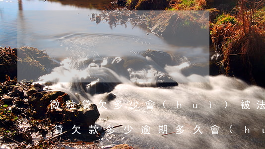 微粒貸欠多少會(huì)被法院起訴(微粒貸欠款多少,逾期多久會(huì)被告法院)