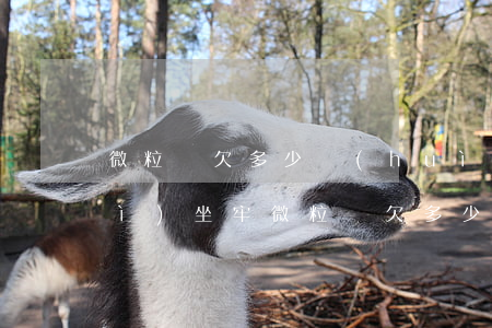 微粒貸欠多少會(huì)被起訴會(huì)坐牢(微粒貸欠多少錢(qián)會(huì)被起訴)