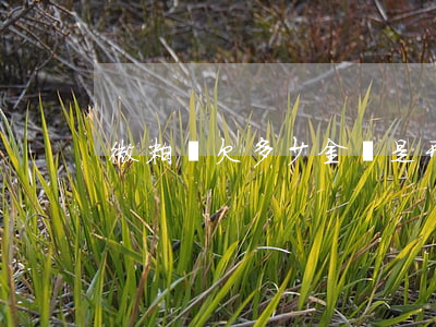 微粒貸欠多少金額是刑事案(微粒貸欠了幾千)