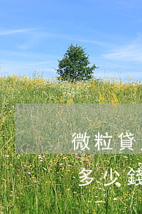 微粒貸欠多少錢會(huì)判刑(微粒貸欠多少錢會(huì)被起訴)